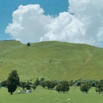 北京k10赛车下载APP